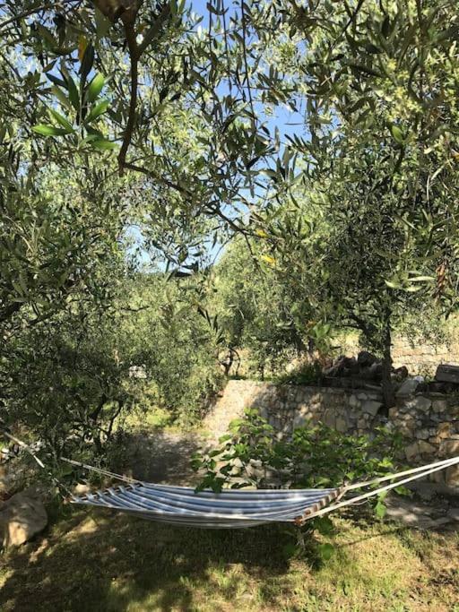 Villa Berio Due - Tuija Villa Viani Luaran gambar