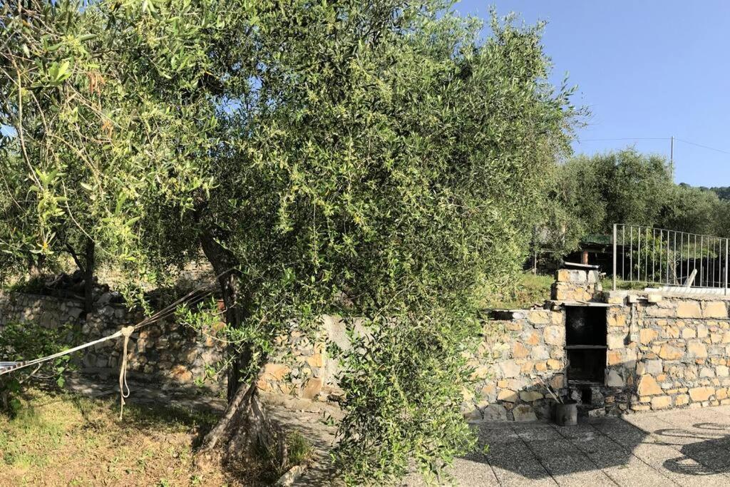 Villa Berio Due - Tuija Villa Viani Luaran gambar
