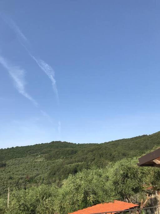 Villa Berio Due - Tuija Villa Viani Luaran gambar