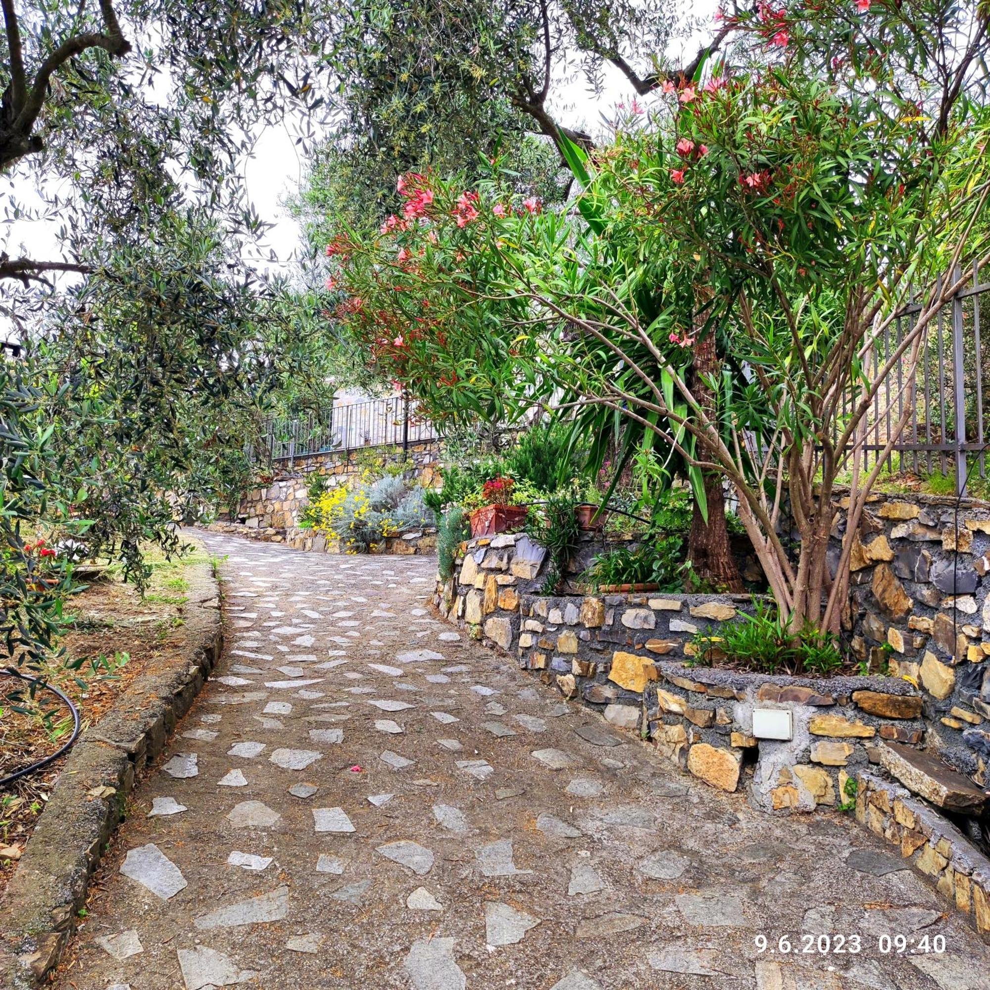 Villa Berio Due - Tuija Villa Viani Luaran gambar