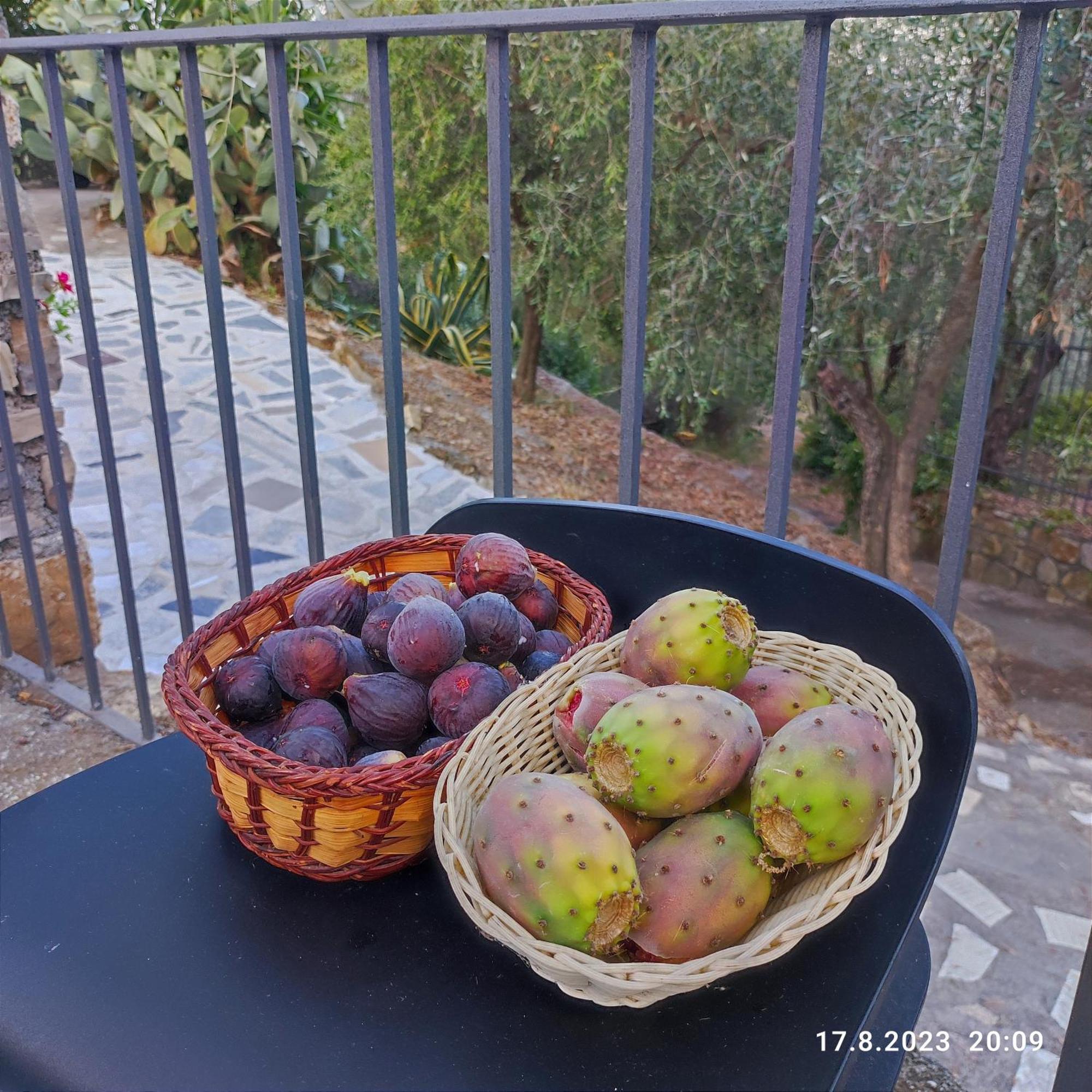 Villa Berio Due - Tuija Villa Viani Luaran gambar